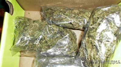 Наркополицейские изъяли 2,5 кг марихуаны