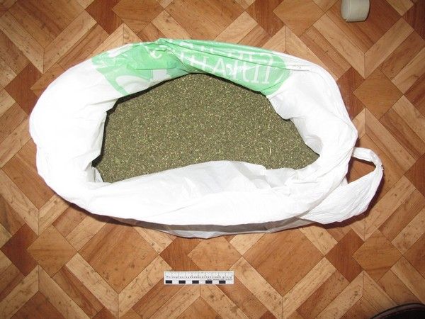 Волгоградец приготовил кастрюлю гашишного масла