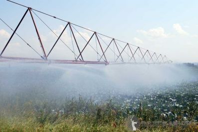 Количество овощей и кормов в Волгоградской области увеличат за счет мелиорации