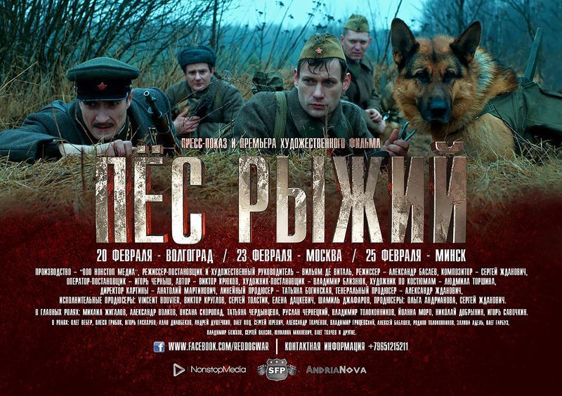 Волгоградцы первыми в России увидят фильм о «собаках-камикадзе»