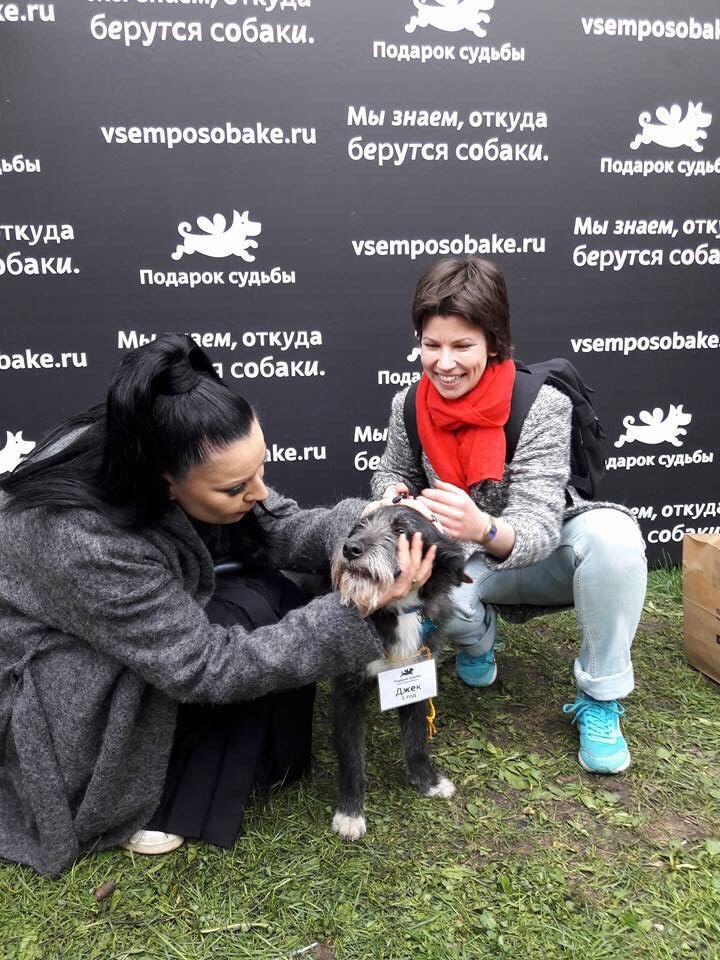 Певица Елка нашла бездомному псу из Волгограда нового хозяина