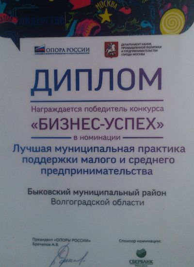 Быковский район стал лучшим в стране по развитию малого бизнеса