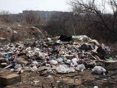 В Волгограде выявлено 238 несанкционированных свалок