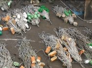 В Волгоградской области судят банду браконьеров