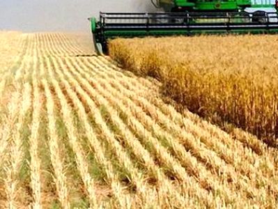 Волгоградские аграрии получают второй транш господдержки