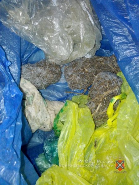 В Волгоградской области за хранение марихуаны задержали 22-летнего парня