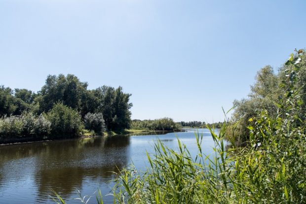 В Волгоградской области за год восстановят 57 гектаров ериков и озер