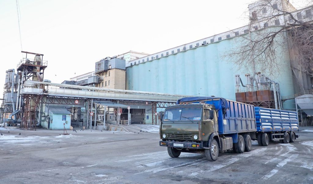 Как болезнь в Китае может повлиять на цену волгоградских зерновых