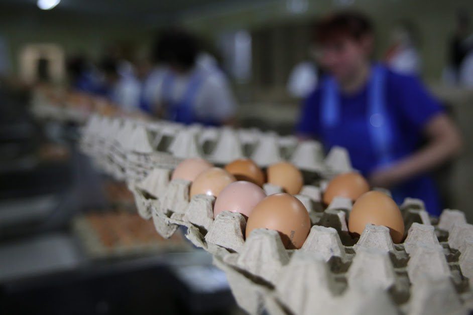 Продукты, способные сохранить хорошую память на долгие годы