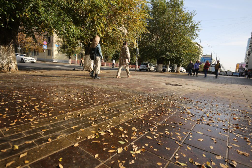 В центре Волгограда деревья покрылись липким налетом