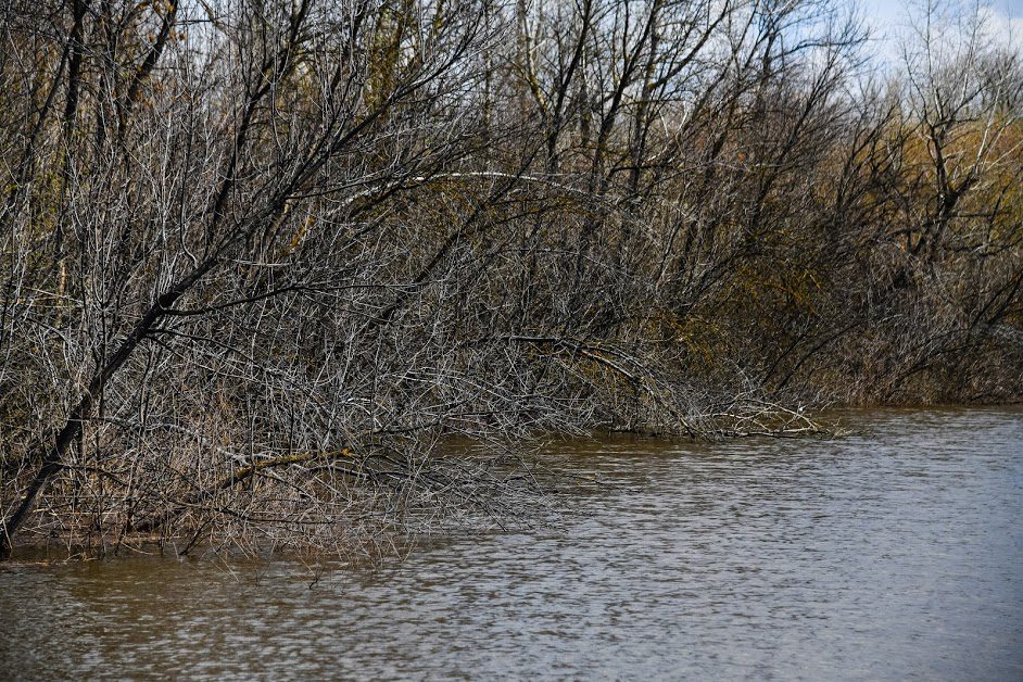 Что нужно и чего нельзя делать 16 апреля, в день Никиты Водопола