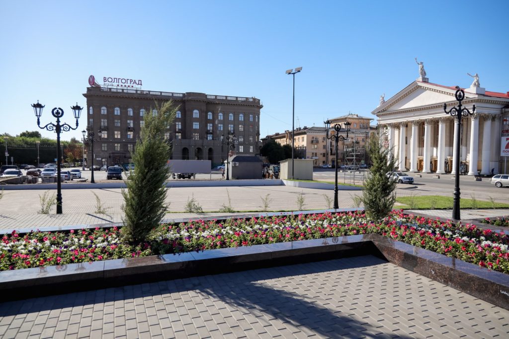 В центре Волгограда неизвестные выкопали цветы и украли кашпо
