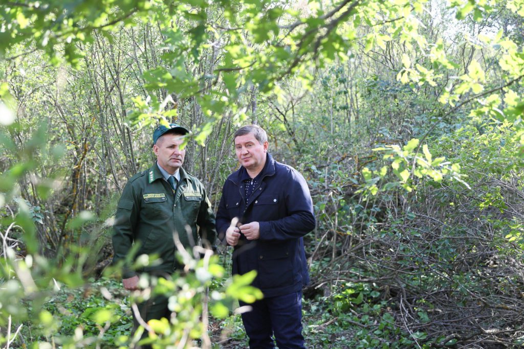 Андрей Бочаров проверил восстановление лесополос в Калачевском районе