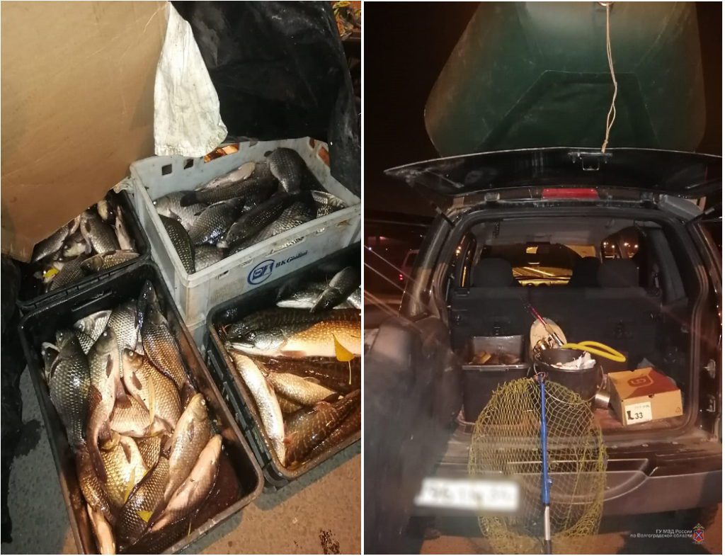 У волгоградца изъяли 87 рыб, его подозревают в браконьерстве