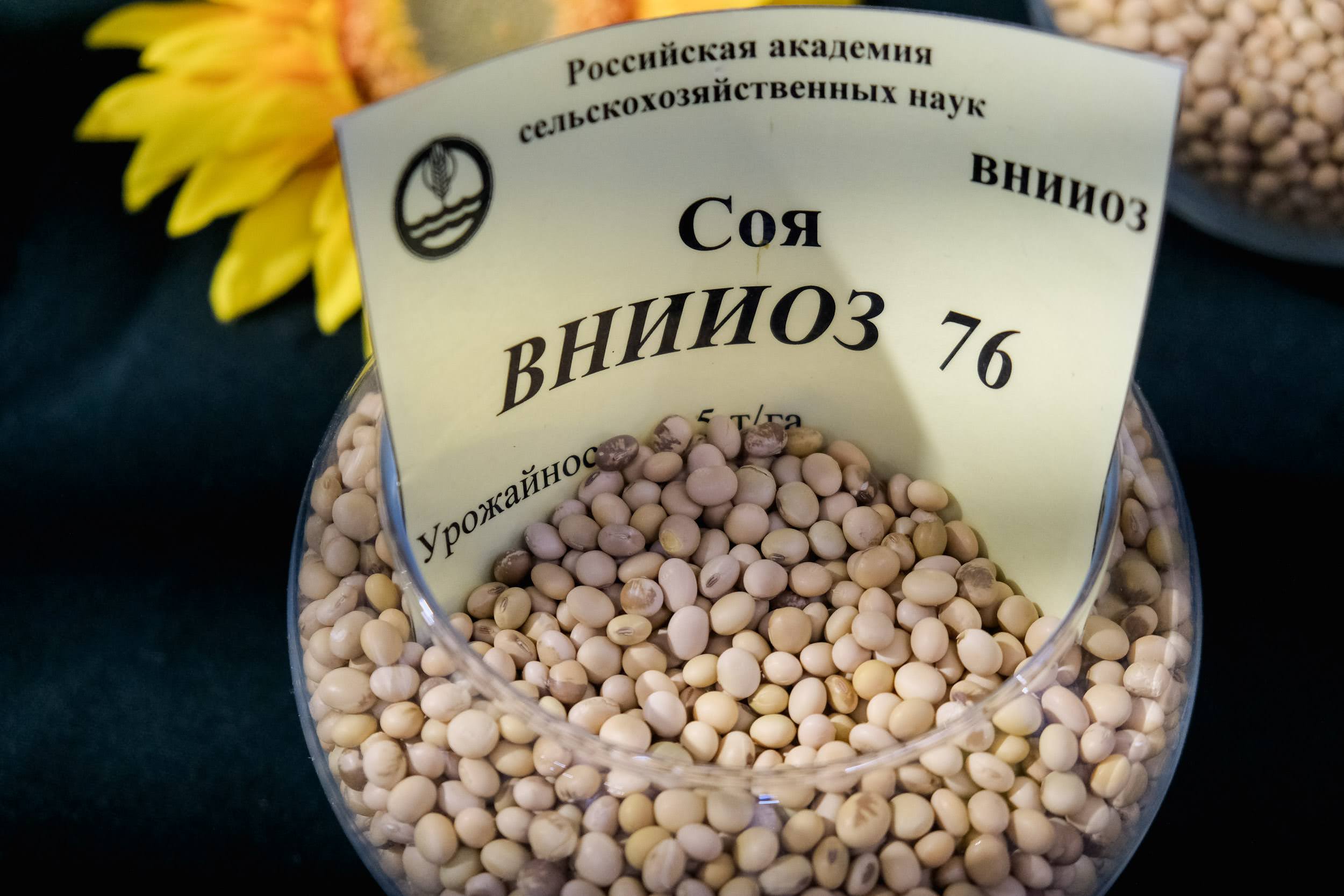Где В Волгоградской Области Можно Купить