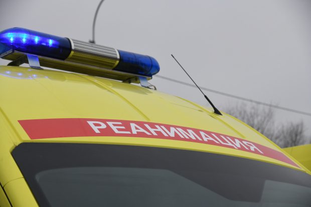 В Волгоградской области бык затоптал 37-летнего мужчину
