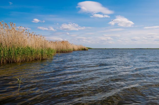 Тело купавшегося в Волгоградской области мужчины нашли водолазы