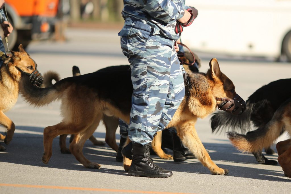 В Волгограде ищут 2-х подростков, сбежавших из реабилитационного центра