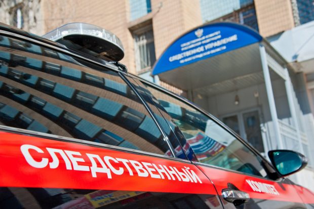 Под Волгоградом лесничего подозревают в нелегальной вырубке деревьев