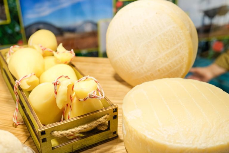 Волгоградцам перечислили 5 продуктов-чемпионов по содержанию кальция
