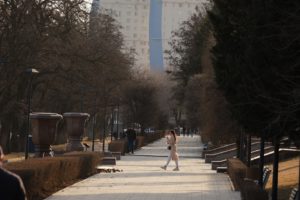 В Волгоградской области к концу недели потеплеет до +20 градусов