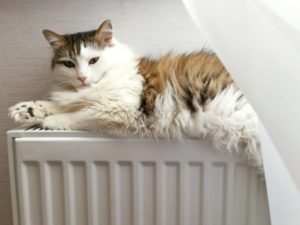 В Камышине Волгоградской области 3 апреля завершится отопительный сезон