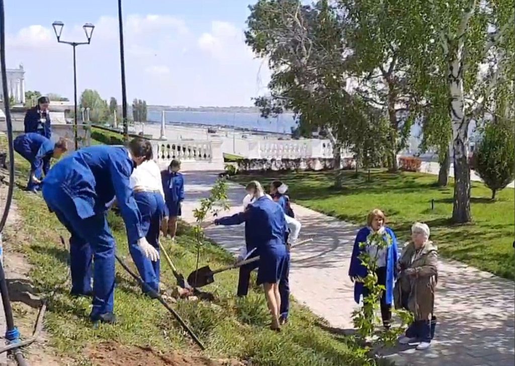 На Центральной набережной Волгограда высадили деревья и цветы