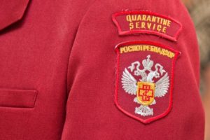 Двое волгоградцев заболели боррелиозом после укусов опасных клещей