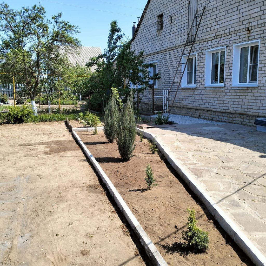 В Волгоградской области задержали подозреваемого в краже саженцев туи