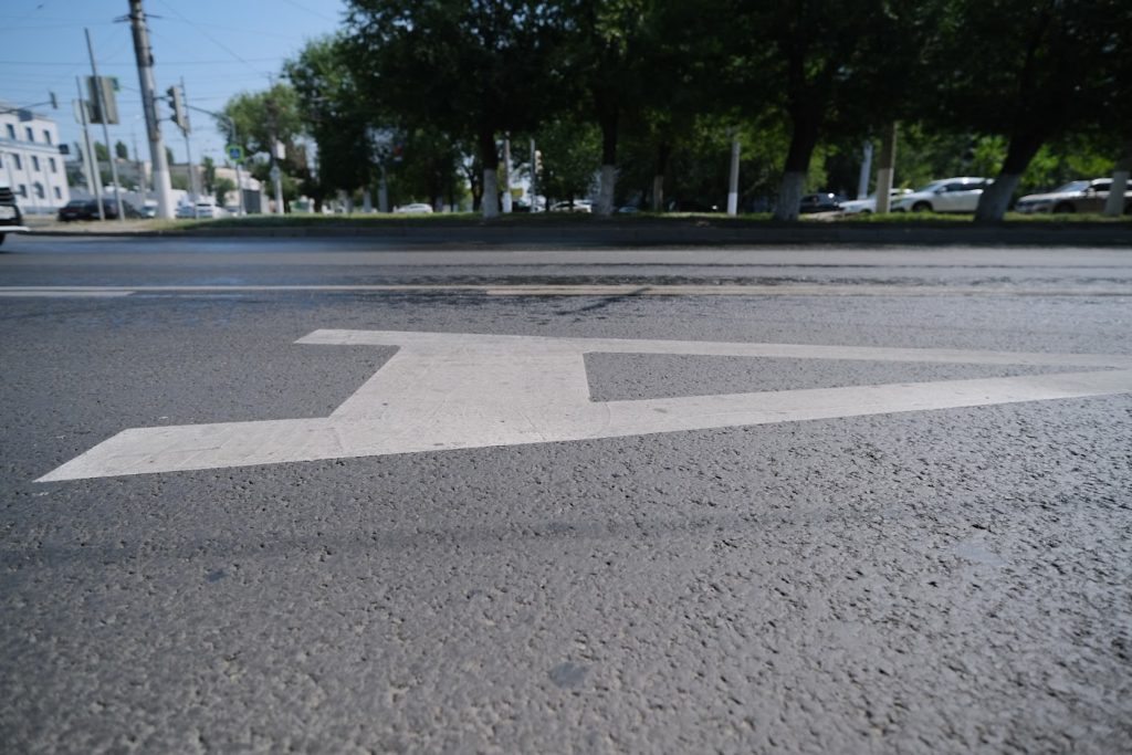 В Волгограде могут появиться новые маршруты общественного транспорта
