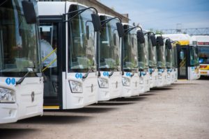 В Волгограде запустят 4 новых автобусных маршрута