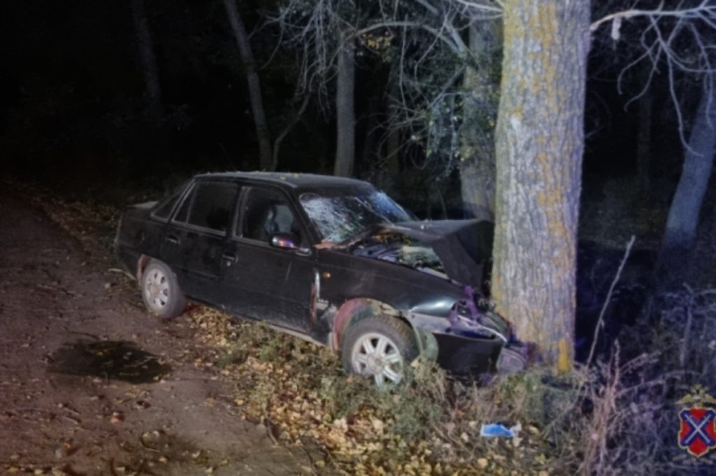 Под Волгоградом в ДТП с деревом погиб 63-летний водитель