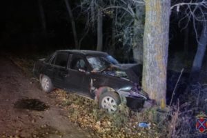 Под Волгоградом в ДТП с деревом погиб 63-летний водитель