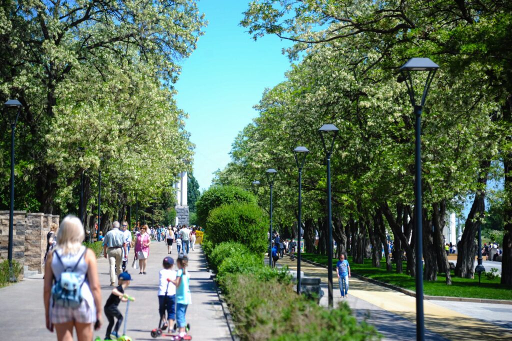 В ЦПКиО Волгограда социальные предприниматели проведут бесплатные мастер-классы