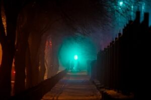 Волгоградцы обсуждают блокировку сайтов, штраф «Светофору» и запрет рекламы эзотерики