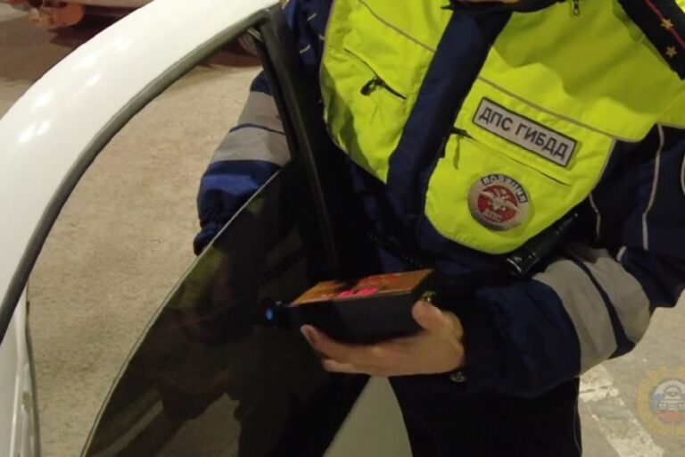 Полицейские в Волгограде провели рейд по проверке тонированных автомобилей