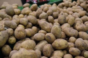 Волгоградцам рассказали об опасности рака картофеля