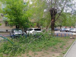 Пронесшийся над Волгоградом ураган изрядно потрепал деревья