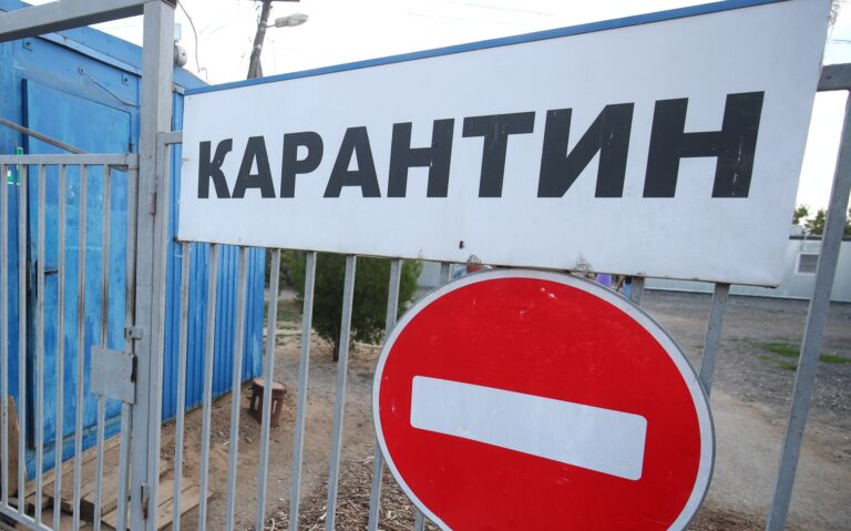 В животноводческом хозяйстве Волгоградской области выявили очаг бруцеллеза