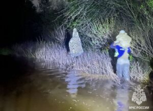 Под Волгоградом две семьи с детьми оказались отрезанными от большой земли