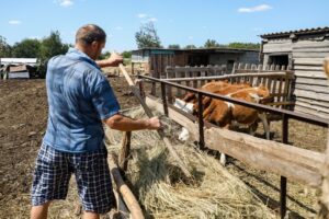 Гострудинспекция выявила нарушения на сельхозпредприятии в Волгоградской области